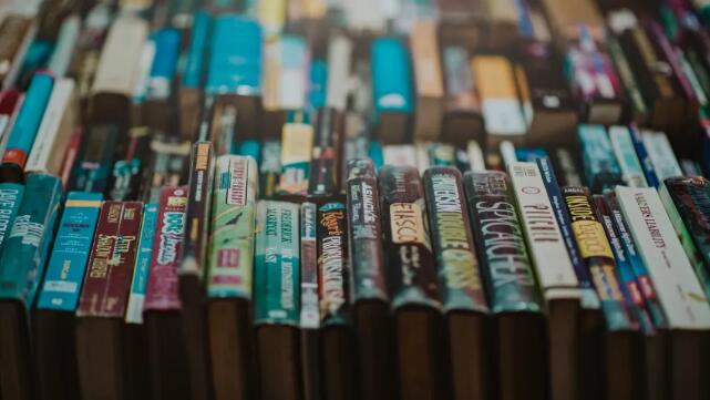 小说作家带你30天写小说,靠小说赚钱,真正实用培训营!插图 小说作家带你30天写小说,靠小说赚钱,真正实用培训营!