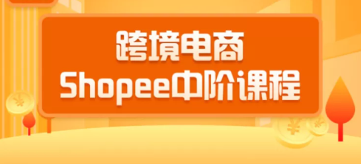 2020跨境电商蓝海新机会-shopee中阶课程:爆款的快速打造全流程(27节课)插图 2020跨境电商蓝海新机会-shopee中阶课程:爆款的快速打造全流程(27节课)