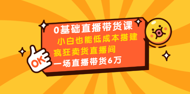 0基础直播带货课:小白也能低成本搭建疯狂卖货直播间:1场直播带货6万插图 0基础直播带货课:小白也能低成本搭建疯狂卖货直播间:1场直播带货6万