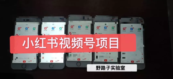野路子小红书课程月入过万:直接上手操作就能赚钱的视频号项目 可长久操作插图 野路子小红书课程月入过万:直接上手操作就能赚钱的视频号项目 可长久操作
