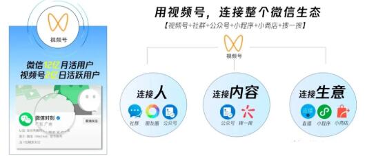 从0到1带你玩赚视频号:这么玩才赚钱,日引流500+日收入1000+核心玩法插图2 从0到1带你玩赚视频号:这么玩才赚钱,日引流500+日收入1000+核心玩法