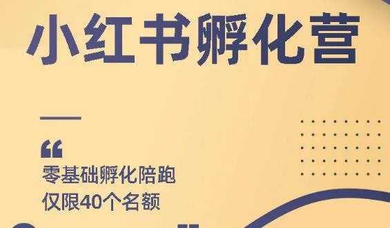 勇哥小红书撸金快速起量项目:教你如何快速起号获得曝光,做到月躺赚3000+插图 勇哥小红书撸金快速起量项目:教你如何快速起号获得曝光,做到月躺赚3000+