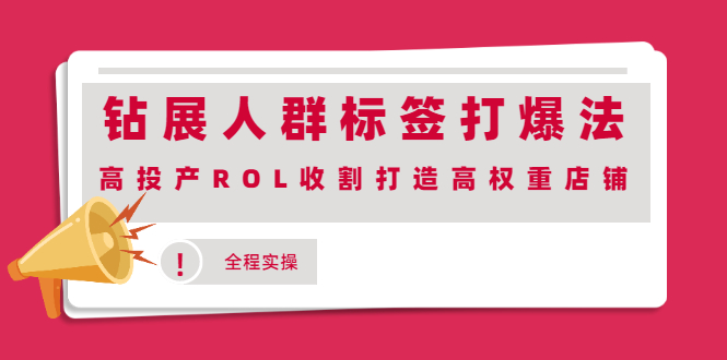 钻展人群标签打爆法,高投产ROL收割打造高权重店铺(全程实操)插图 钻展人群标签打爆法,高投产ROL收割打造高权重店铺(全程实操)