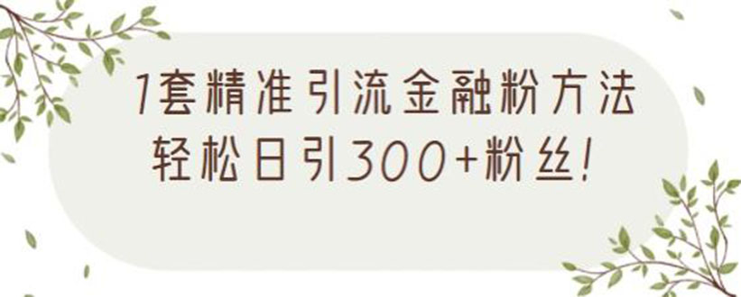 1套精准引流金融粉方法,轻松日引300+粉丝【视频课程】插图 1套精准引流金融粉方法,轻松日引300+粉丝【视频课程】