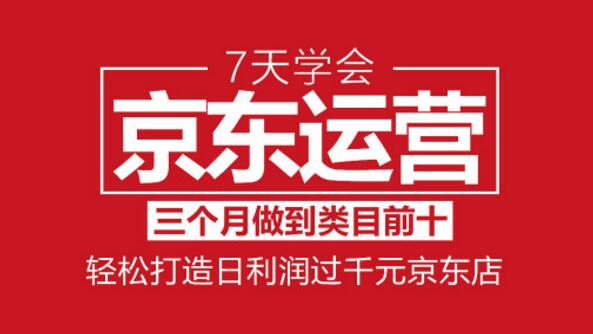 7天学会京东运营：3个月做到类目前十，轻松打造日利润1000+京东店（七约）