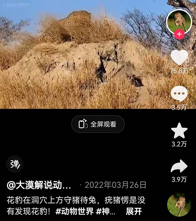 外面卖1699的国外纪录片解说(动物解说、美食、动画片)稳过中视频插图1 外面卖1699的国外纪录片解说(动物解说、美食、动画片)稳过中视频