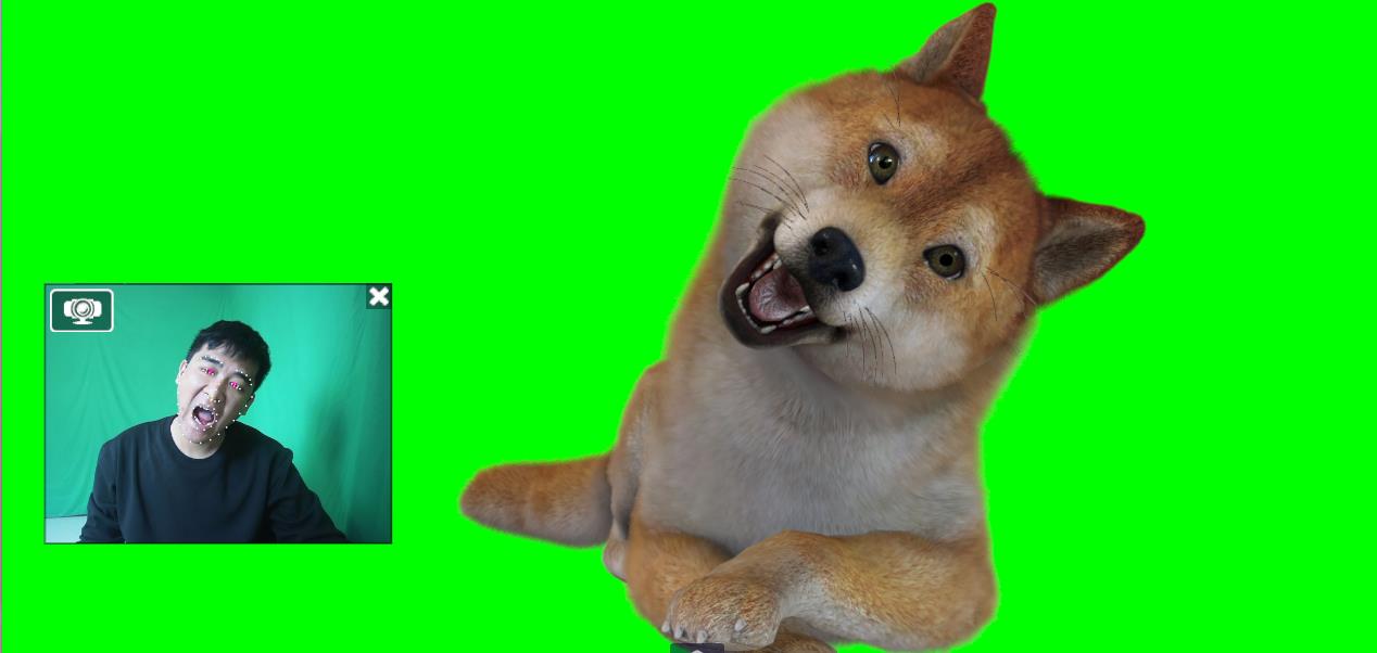 实时直播换脸卡通形象出镜,卡通形象面部捕捉(软件+教程)插图 实时直播换脸卡通形象出镜,卡通形象面部捕捉(软件+教程)