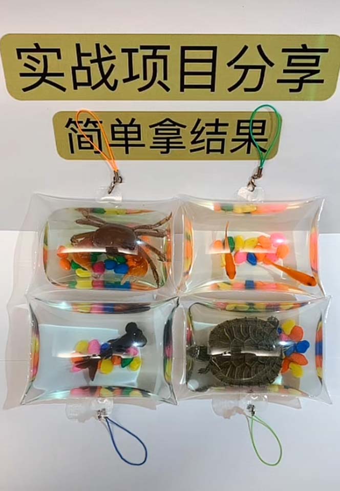 最近抖音很火的泡泡鱼手工小成本地摊创业项目,日賺500+项目课程解析插图1 最近抖音很火的泡泡鱼手工小成本地摊创业项目,日賺500+项目课程解析