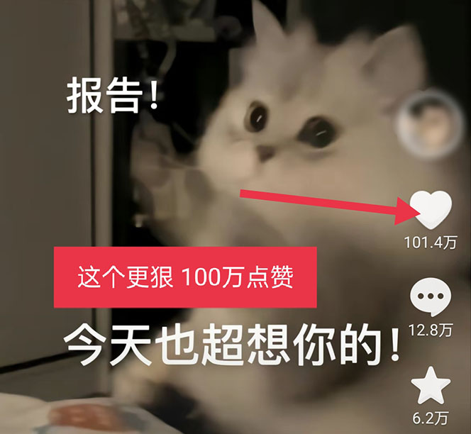 黑科技纯原创可爱猫咪图片,全网精准引流,实操5个VX号被加频繁插图2 黑科技纯原创可爱猫咪图片,全网精准引流,实操5个VX号被加频繁