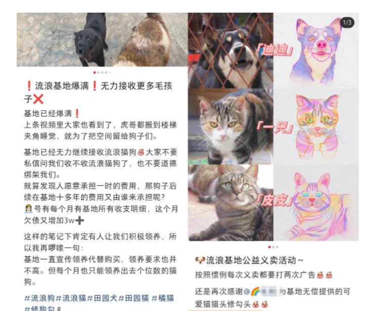 小红书蓝海类赛道:小动物打赏与购买变现副业项目,一条龙玩法分享给你!插图2 小红书蓝海类赛道:小动物打赏与购买变现副业项目,一条龙玩法分享给你!