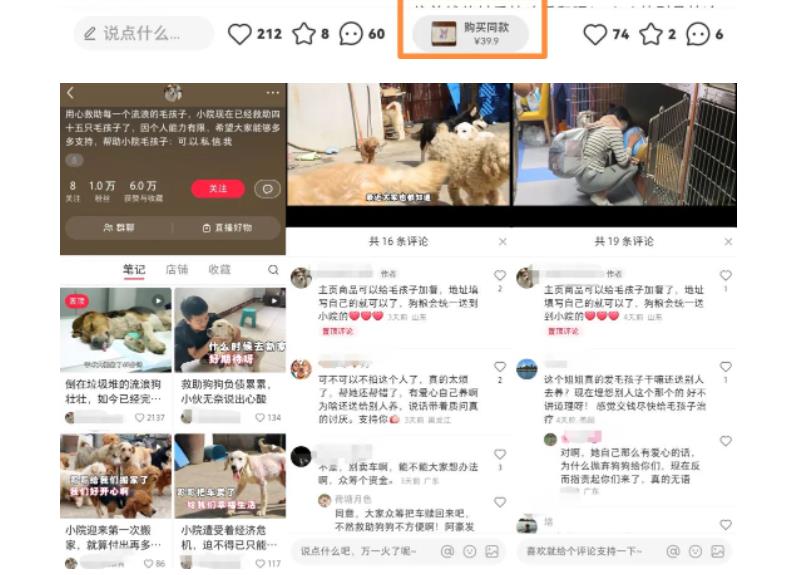小红书蓝海类赛道:小动物打赏与购买变现副业项目,一条龙玩法分享给你!插图3 小红书蓝海类赛道:小动物打赏与购买变现副业项目,一条龙玩法分享给你!