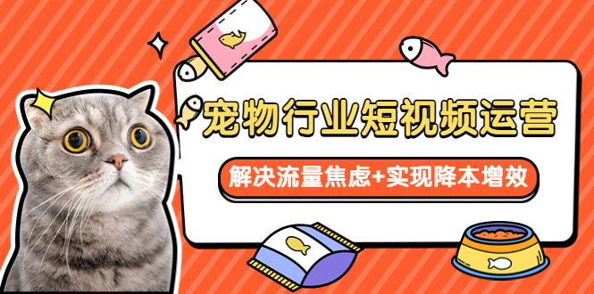 宠物/行业短视频运营 流量增长的一层窗户纸 解决流量焦虑+实现降本增效插图 宠物/行业短视频运营 流量增长的一层窗户纸 解决流量焦虑+实现降本增效
