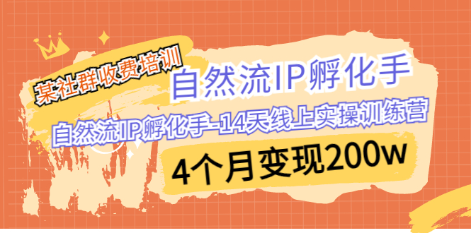 某社群收费培训:自然流IP 孵化手-14天线上实操训练营 4个月变现200w插图 某社群收费培训:自然流IP 孵化手-14天线上实操训练营 4个月变现200w