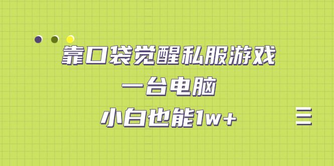 靠口袋觉醒私服游戏,一台电脑,小白也能1w+(教程+工具+资料)插图 靠口袋觉醒私服游戏,一台电脑,小白也能1w+(教程+工具+资料)