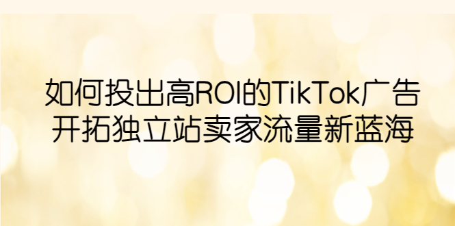 如何投出高ROI·TikTok广告,开拓独立站卖家流量新蓝海插图 如何投出高ROI·TikTok广告,开拓独立站卖家流量新蓝海