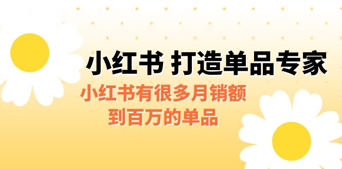 某公众号付费文章《小红书 打造单品专家》小红书有很多月销额到百万的单品插图 某公众号付费文章《小红书 打造单品专家》小红书有很多月销额到百万的单品