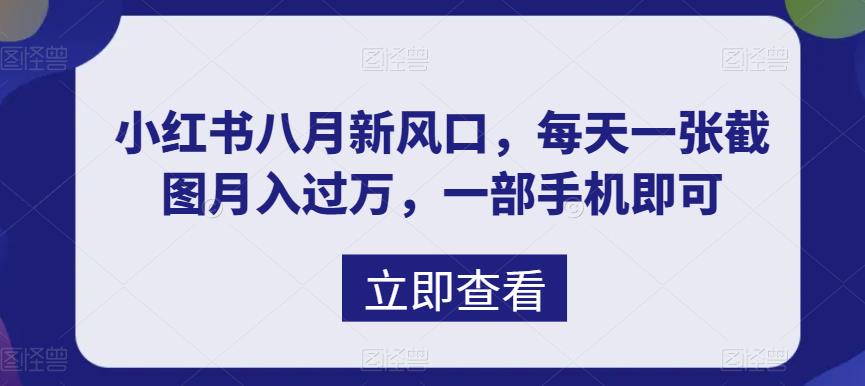 八月新风口,小红书虚拟项目一天收入1000+,实战揭秘插图 八月新风口,小红书虚拟项目一天收入1000+,实战揭秘