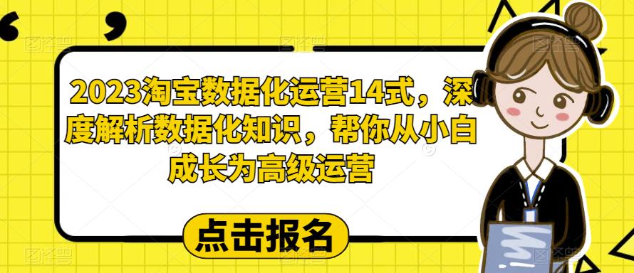 2023淘宝数据化-运营 14式,深度解析数据化知识,帮你从小白成长为高级运营插图 2023淘宝数据化-运营 14式,深度解析数据化知识,帮你从小白成长为高级运营