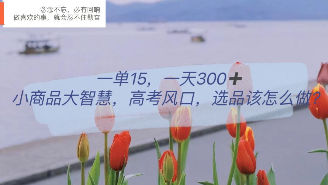 一单15,一天300+,小商品大智慧,高考风口,选品该怎么布局插图 一单15,一天300+,小商品大智慧,高考风口,选品该怎么布局