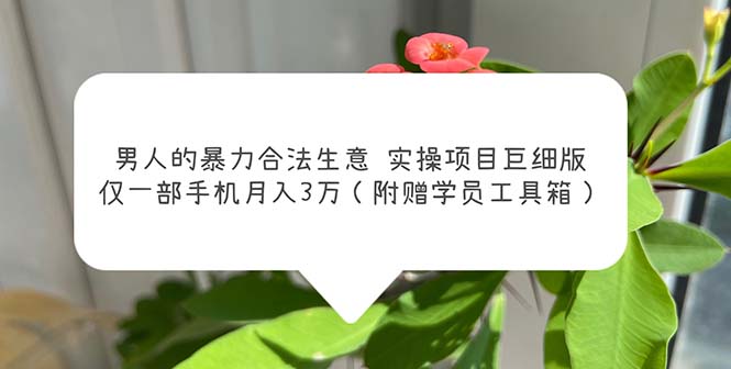 男人的暴力合法生意实操项目巨细版:仅一部手机月入3w(附赠学员工具箱)插图 男人的暴力合法生意实操项目巨细版:仅一部手机月入3w(附赠学员工具箱)