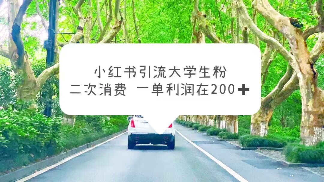 小红书引流大学生粉,变现项目,一单利润在200+(教程+资源)插图 小红书引流大学生粉,变现项目,一单利润在200+(教程+资源)