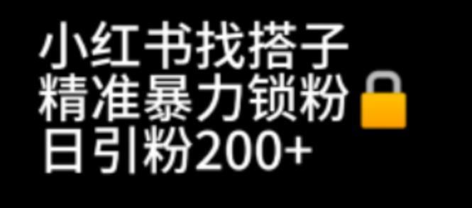 小红书找搭子暴力精准锁粉+引流日引200+精准粉插图 小红书找搭子暴力精准锁粉+引流日引200+精准粉