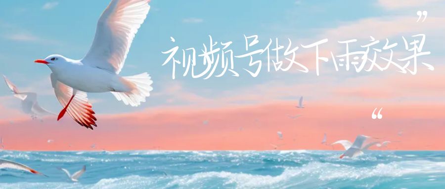 (6637期)视频号做下雨视频一个账号一周涨粉10W+年入100w插图 (6637期)视频号做下雨视频一个账号一周涨粉10W+年入100w