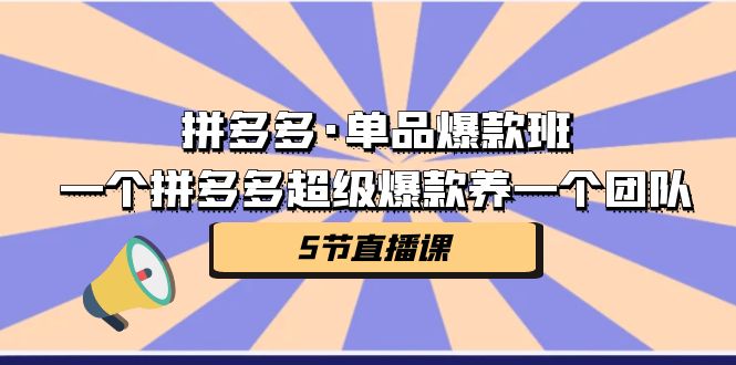 拼多多·单品爆款班,一个拼多多超级爆款养一个团队(5节直播课)插图 拼多多·单品爆款班,一个拼多多超级爆款养一个团队(5节直播课)