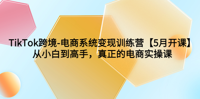TikTok跨境-电商系统变现训练营【5月新课】从小白到高手,真正的电商实操课插图 TikTok跨境-电商系统变现训练营【5月新课】从小白到高手,真正的电商实操课