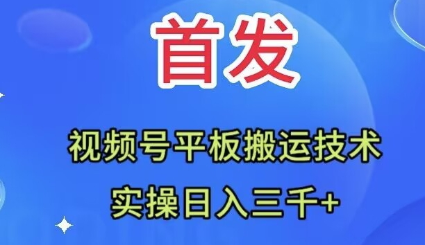 全网首发:视频号平板搬运技术,实操日入三千+插图 全网首发:视频号平板搬运技术,实操日入三千+