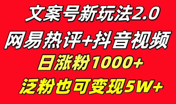 文案号新玩法 网易热评+抖音文案 一天涨粉1000+ 多种变现模式 泛粉也可变现插图 文案号新玩法 网易热评+抖音文案 一天涨粉1000+ 多种变现模式 泛粉也可变现