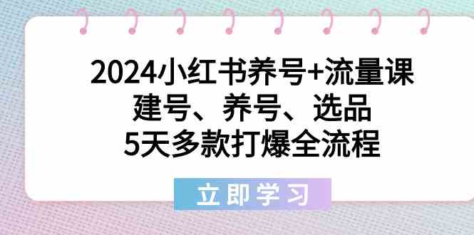 2024小红书养号+流量课:建号、养号、选品,5天多款打爆全流程插图 2024小红书养号+流量课:建号、养号、选品,5天多款打爆全流程