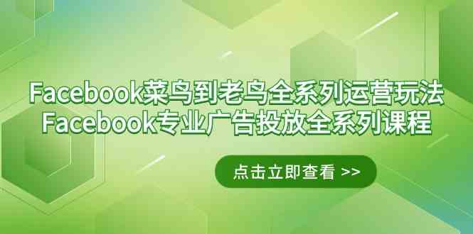 Facebook-菜鸟到老鸟全系列运营玩法+Facebook-专业广告投放全系列课程插图 Facebook-菜鸟到老鸟全系列运营玩法+Facebook-专业广告投放全系列课程
