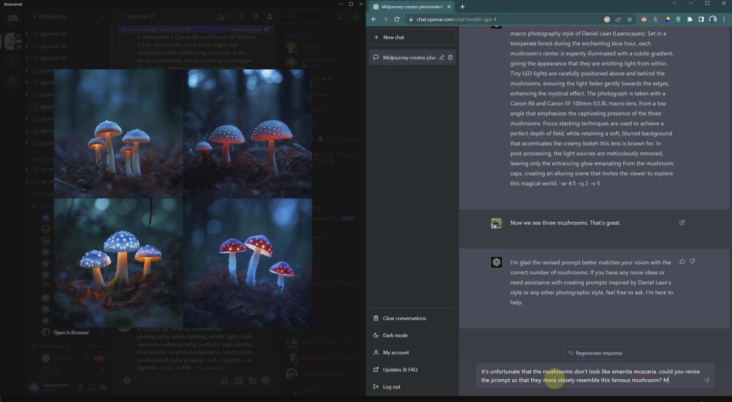 摄影师 Daniel Laan 使用ChatGPT与Midjourney生成风光图像-中英字幕插图6 摄影师 Daniel Laan 使用ChatGPT与Midjourney生成风光图像-中英字幕