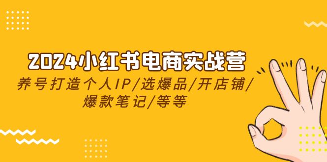 2024小红书电商实战营,养号打造IP/选爆品/开店铺/爆款笔记/等等(24节)插图 2024小红书电商实战营,养号打造IP/选爆品/开店铺/爆款笔记/等等(24节)