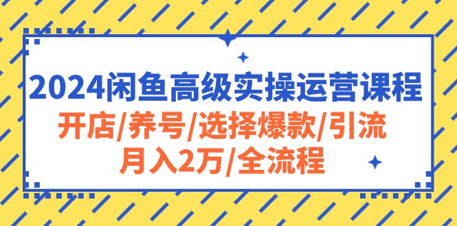 2024闲鱼高级实操运营课程:开店/养号/选择爆款/引流/月入2万/全流程插图 2024闲鱼高级实操运营课程:开店/养号/选择爆款/引流/月入2万/全流程