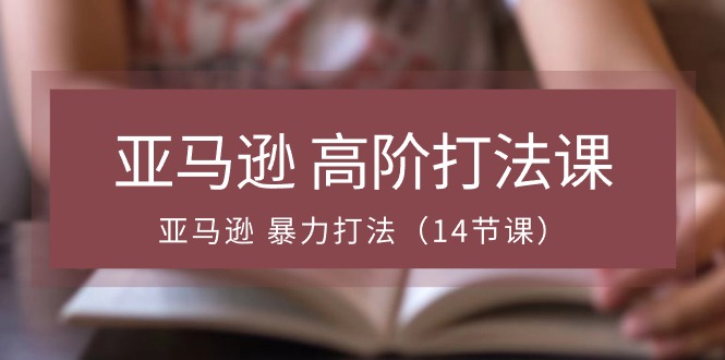 亚马逊 高阶打法课,亚马逊 暴力打法(14节课)插图 亚马逊 高阶打法课,亚马逊 暴力打法(14节课)