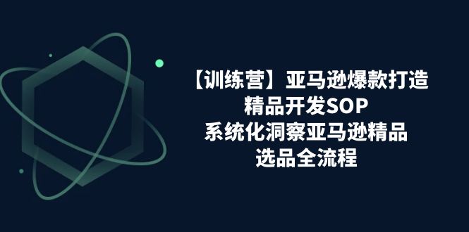 【训练营】亚马逊爆款打造之精品开发SOP,系统化洞察亚马逊精品选品全流程插图 【训练营】亚马逊爆款打造之精品开发SOP,系统化洞察亚马逊精品选品全流程