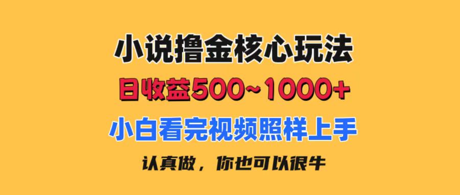 小说撸金核心玩法,日收益500-1000+,小白看完照样上手,0成本有手就行插图 小说撸金核心玩法,日收益500-1000+,小白看完照样上手,0成本有手就行