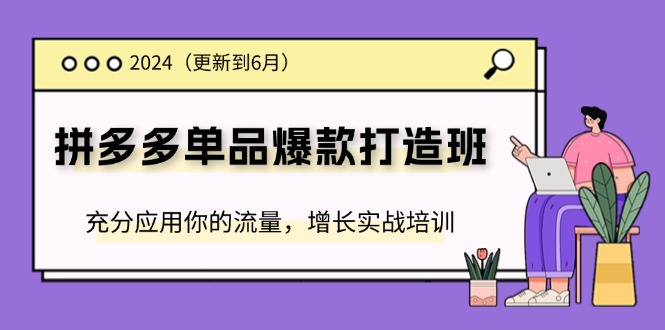2024拼多多-单品爆款打造班(更新6月),充分应用你的流量,增长实战培训插图 2024拼多多-单品爆款打造班(更新6月),充分应用你的流量,增长实战培训