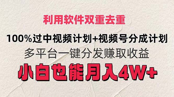利用软件双重去重,100%过中视频+视频号分成计划小白也可以月入4W+插图 利用软件双重去重,100%过中视频+视频号分成计划小白也可以月入4W+