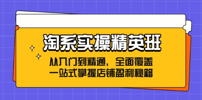 淘系实操精英班:从入门到精通,全面覆盖,一站式掌握店铺盈利秘籍插图 淘系实操精英班:从入门到精通,全面覆盖,一站式掌握店铺盈利秘籍