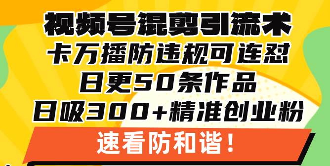 视频号混剪引流技术,500万播放引流17000创业粉,操作简单当天学会插图 视频号混剪引流技术,500万播放引流17000创业粉,操作简单当天学会