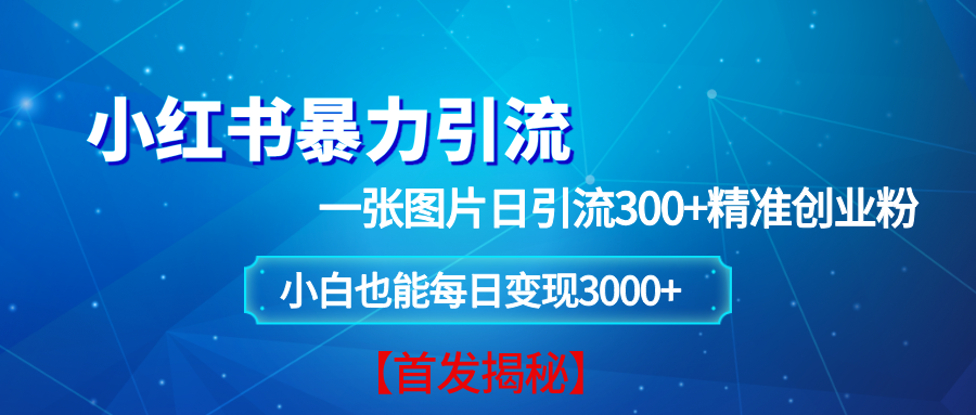 小红书暴力引流法,一张图片日引 300+精准创业粉,每日稳定变现 3000+【揭秘】插图 小红书暴力引流法,一张图片日引 300+精准创业粉,每日稳定变现 3000+【揭秘】