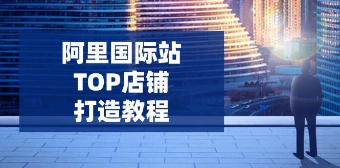 阿里国际站TOP店铺打造教程:涵盖平台到高阶,解决运营难题,提升询盘插图 阿里国际站TOP店铺打造教程:涵盖平台到高阶,解决运营难题,提升询盘