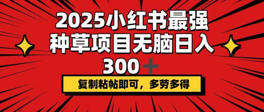 2025小红书最强种草项目，无脑日入300+，复制粘帖即可，多劳多得插图