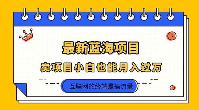2025年最新蓝海项目，卖项目小白也能月入过万插图