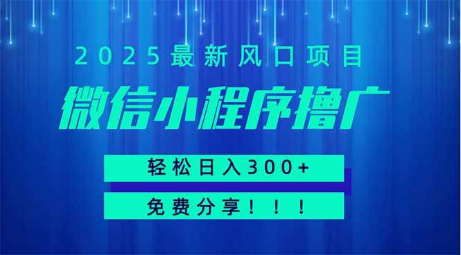 微信小程序撸广，最新风口项目，日入300+ 免费分享 可批量操作 小白可…插图