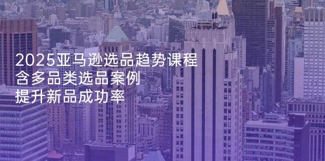 2025亚马逊选品趋势课程，含多品类选品案例，提升新品成功率插图