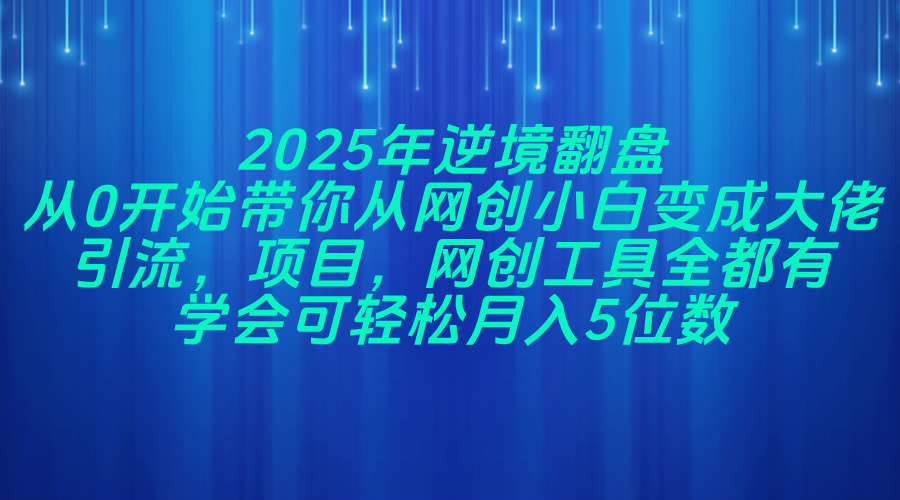 2025年逆境翻盘，从0开始带你从网创小白变成大佬，引流，项目，网创工…插图